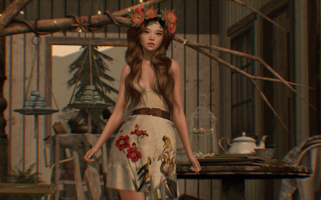 Wɪʟᴅ Sᴘʀɪɴɢ